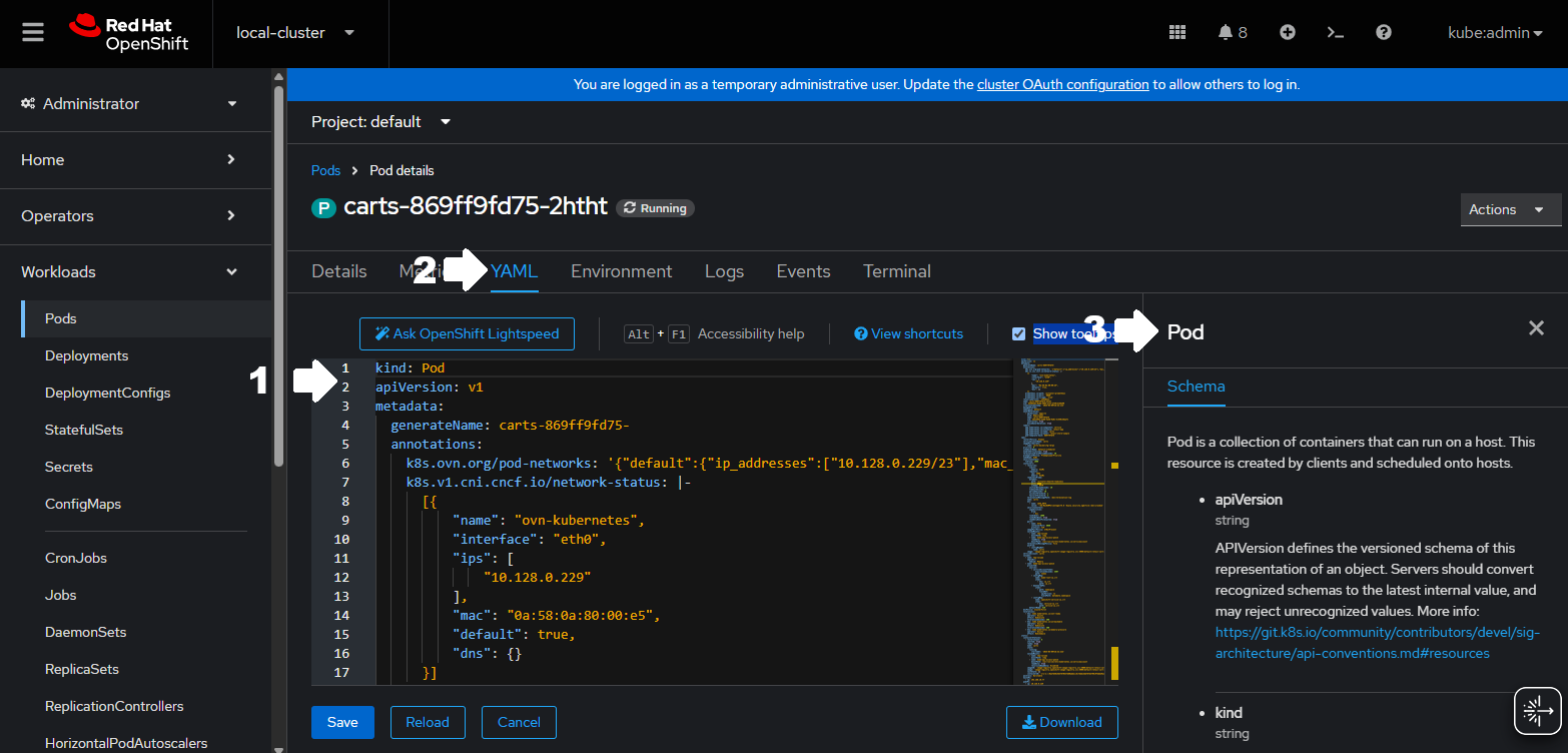 editor view